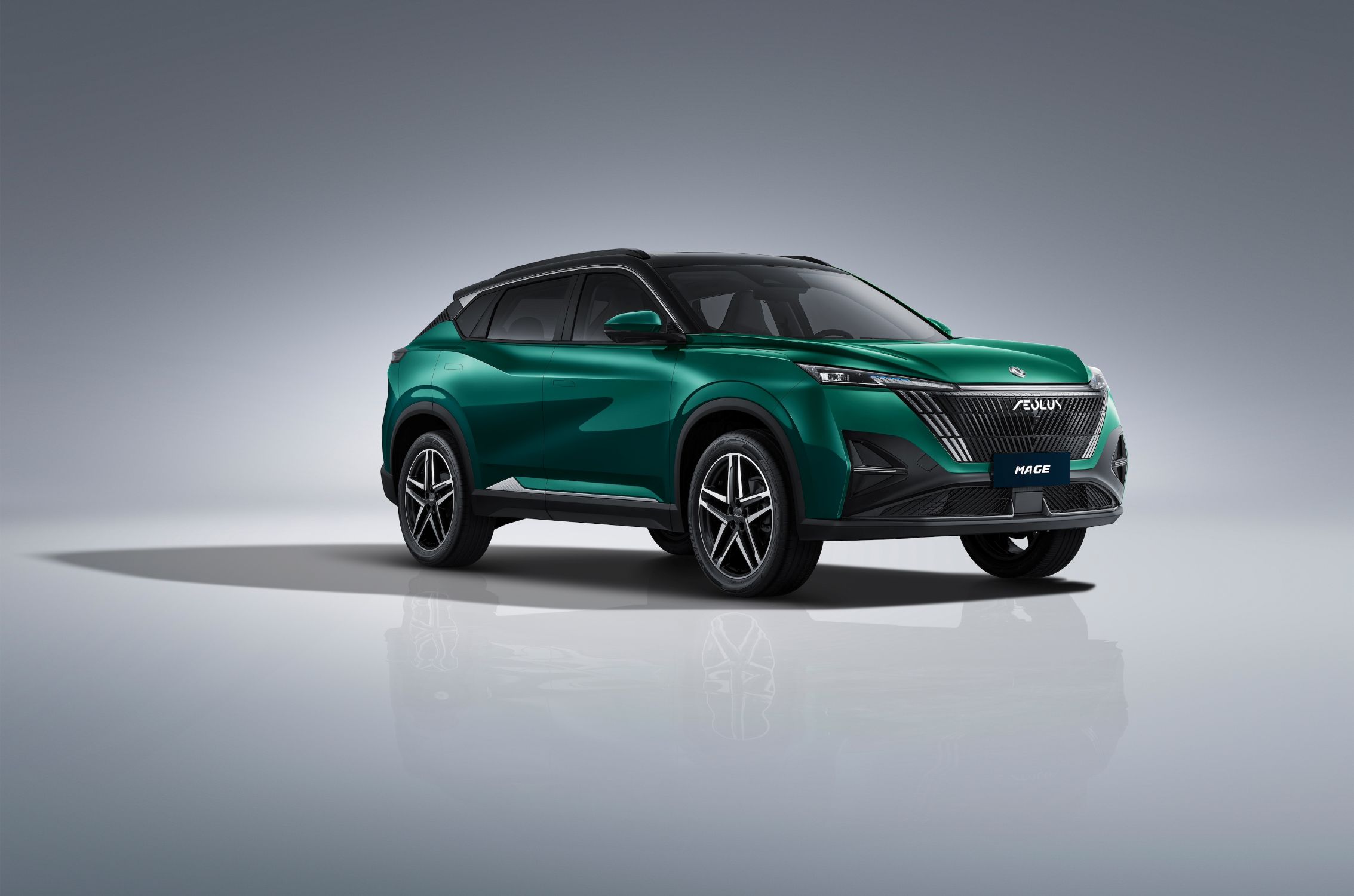 Dongfeng Ramadan Offer