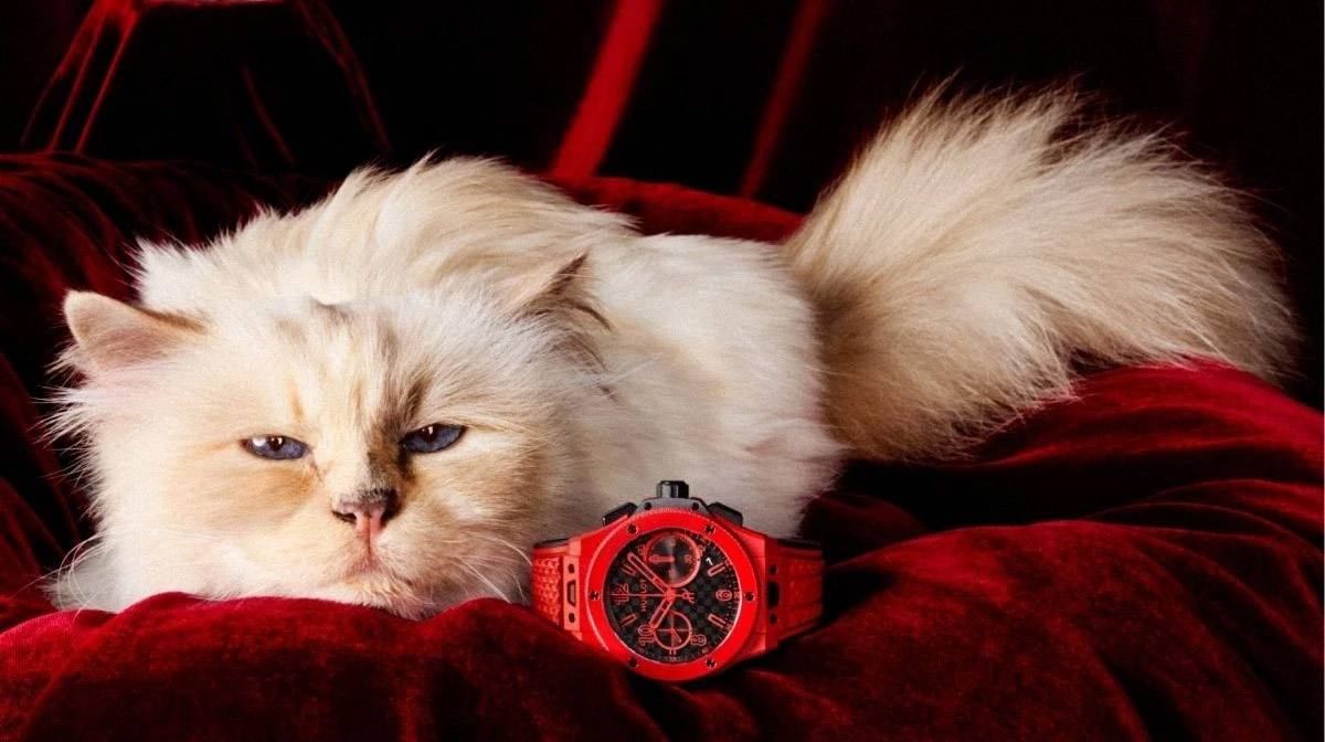 القطة شوبِت نجمة حملة Hublot الجديدة لساعة Big Bang