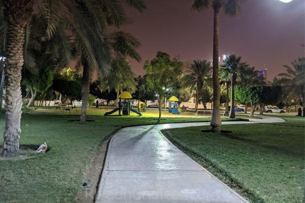 حي النخيل في الرياض