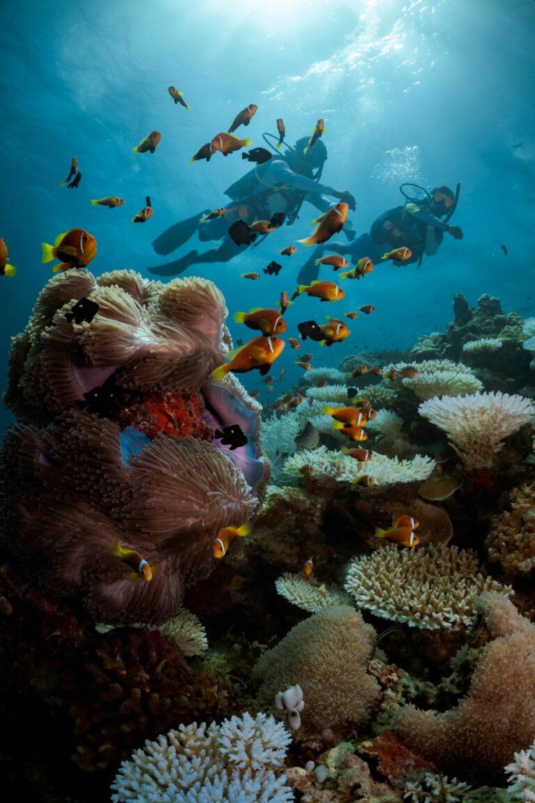 PADI Eco-Awareness Week Maldives