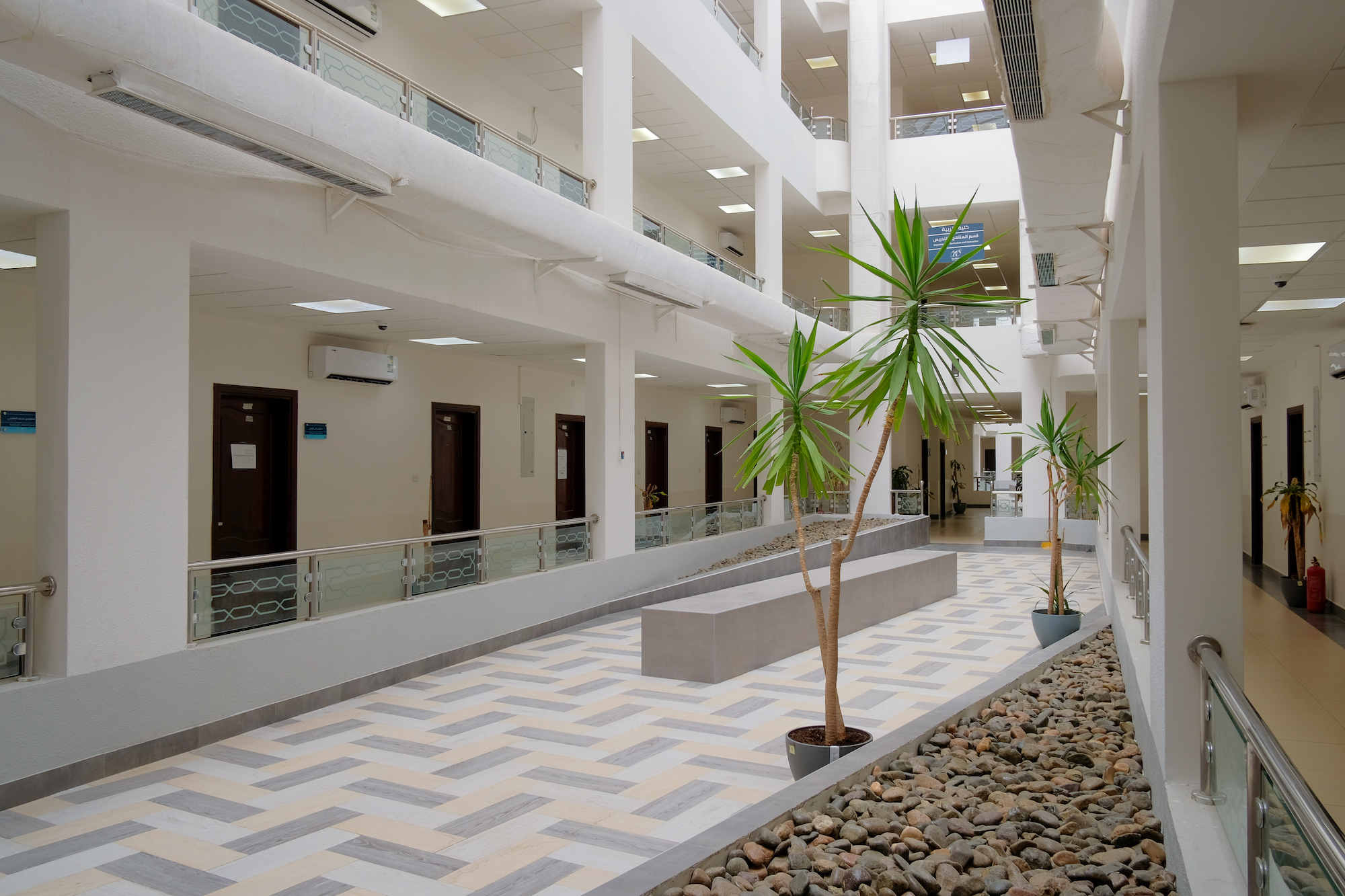 جامعة جدة حي الفيصلية