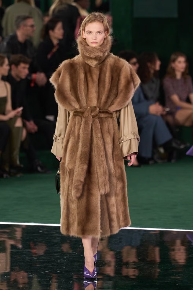 من عرض Gucci