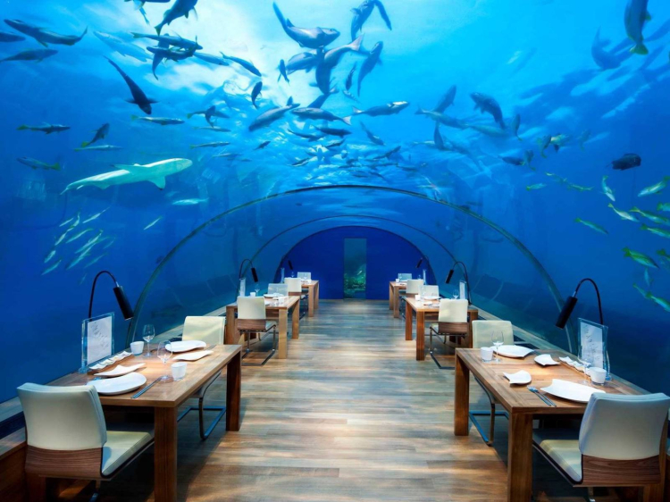 فندق Lover’s Deep Luxury Submarine, St. Lucia--
