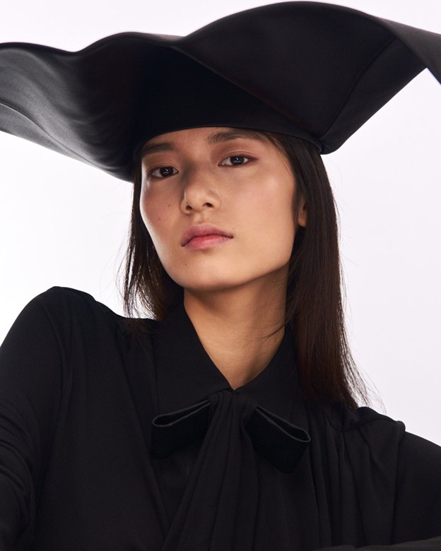 من عرض Dior