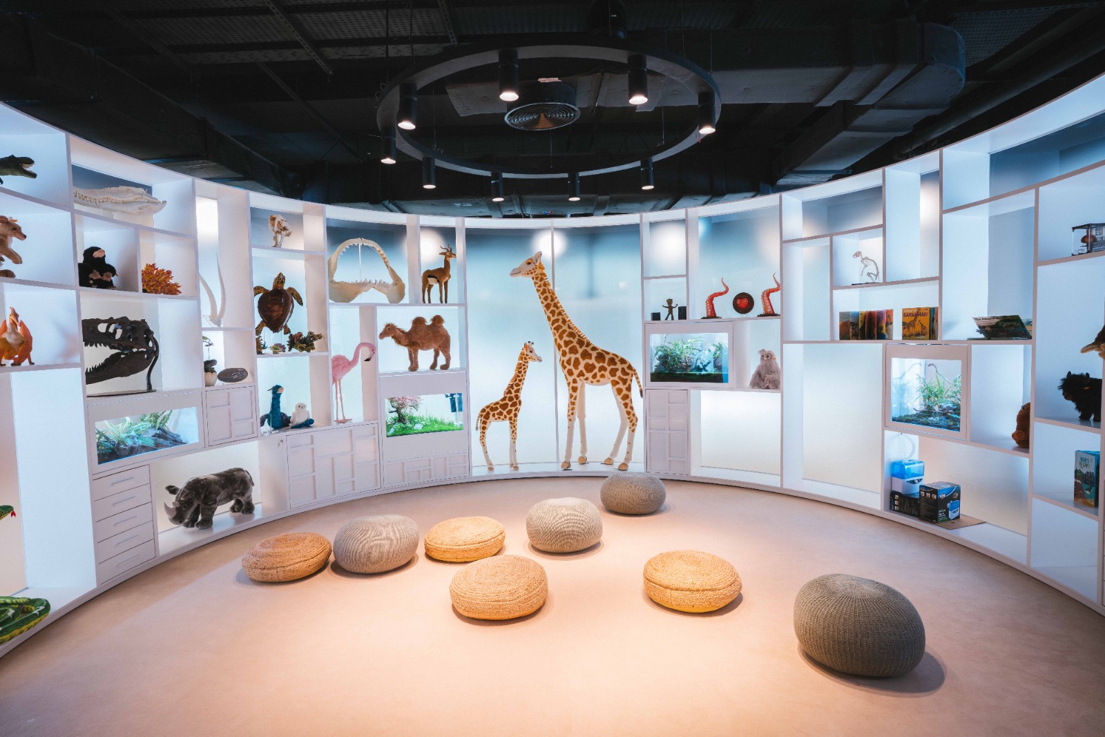 Abu Dhabi's Children's Library