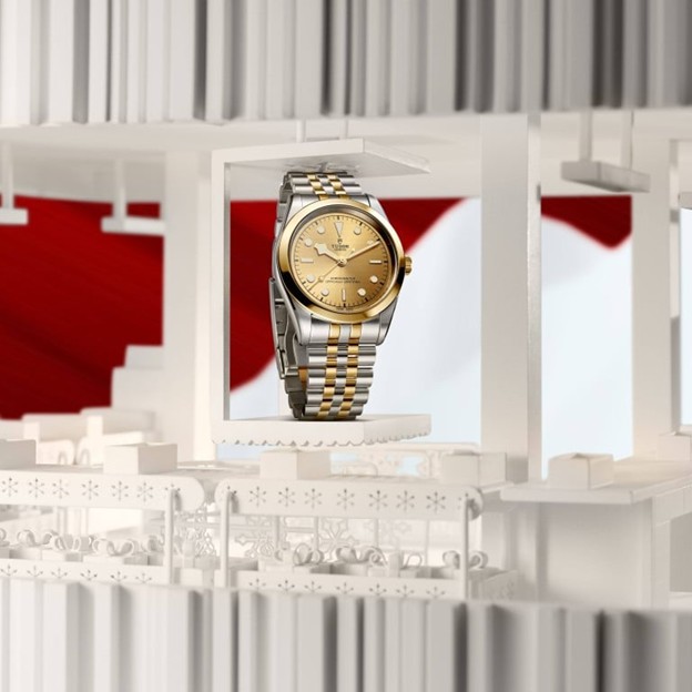 Tudor Black Bay & Clair de Rose Watches
