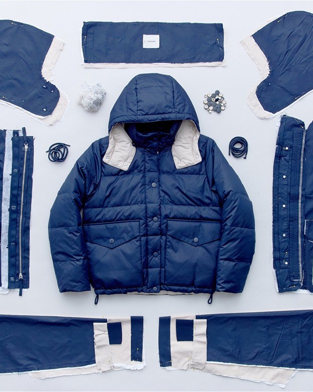 جاكيت من Everlane