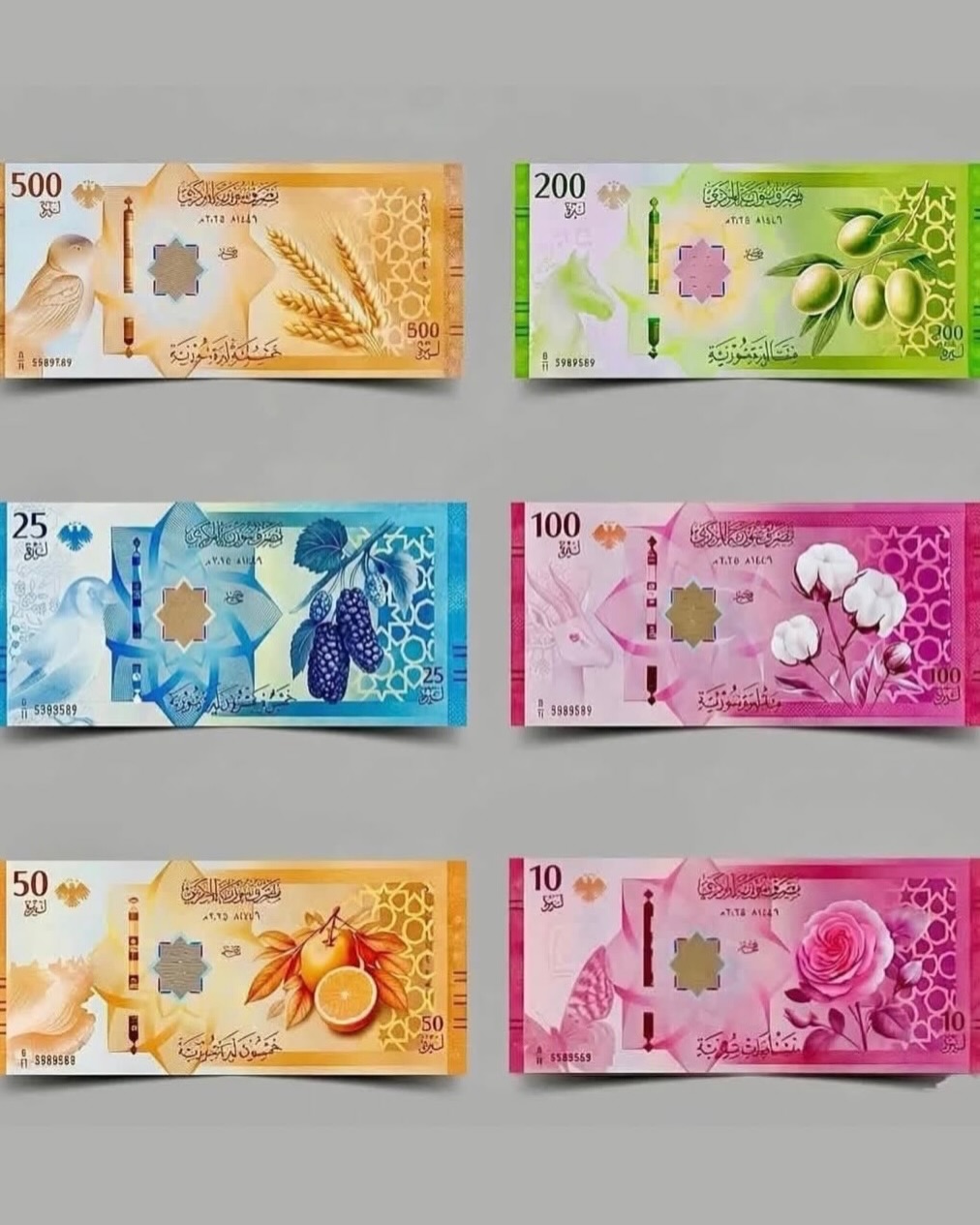 New Syrian pound 2026