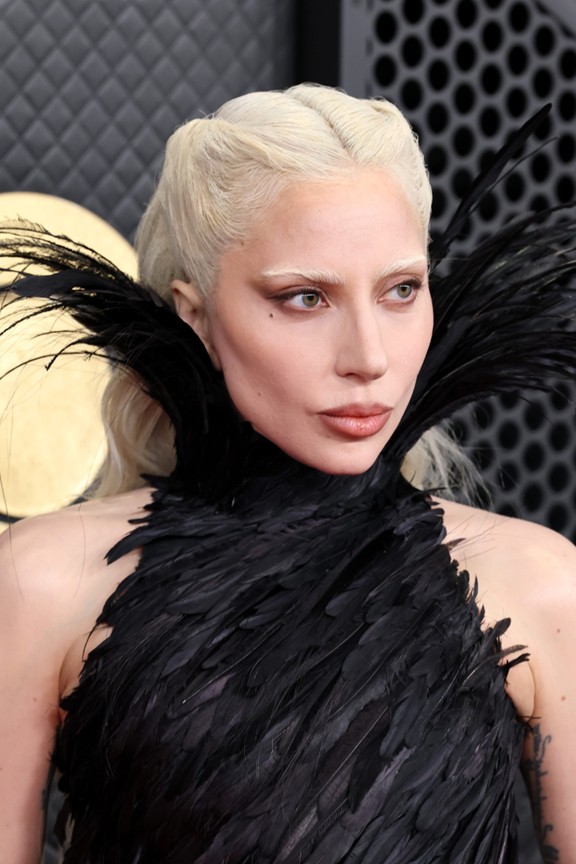 ليدي غاغا Lady Gaga